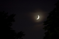 Misty Earthshine