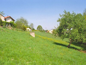 FieldWell