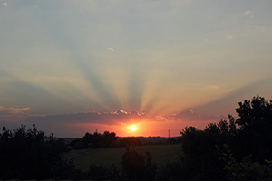 SummerSunrise